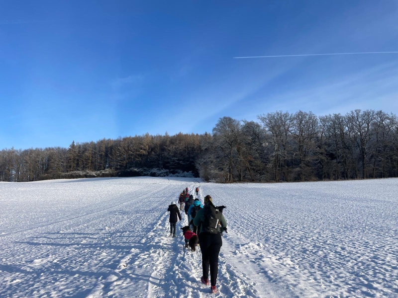 Starnberg imSchnee